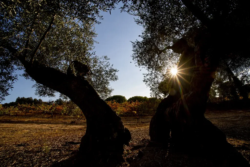 taller de fotografía en bodega de jaén