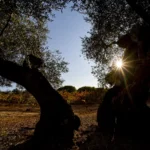 taller de fotografía en bodega de jaén