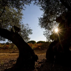 taller de fotografía en bodega de jaén
