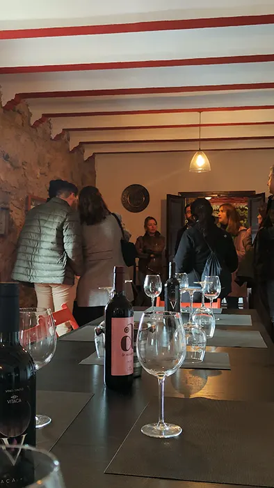 cata de vino en sierra morena