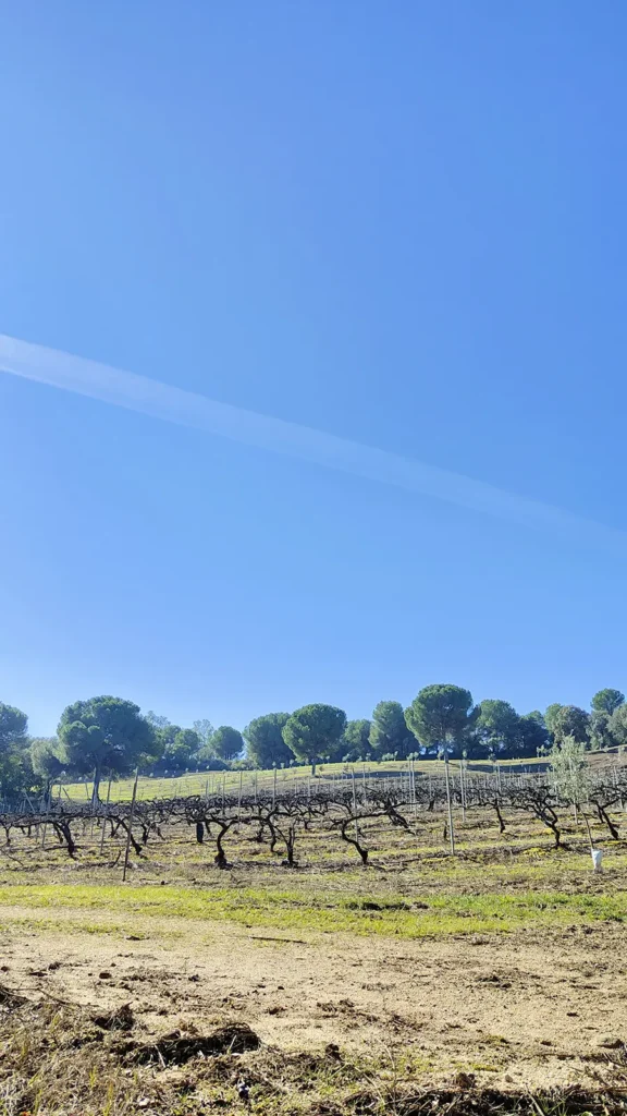 bodega de vino en la provincia de jaen